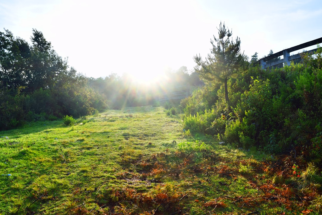 découvrez tout ce qu'il faut savoir sur les coups de soleil : causes, symptômes, traitements et conseils pour protéger votre peau des rayons nocifs du soleil.