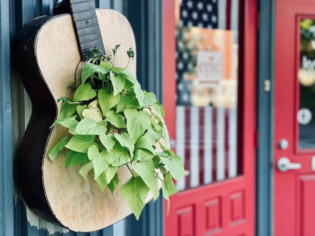 découvrez notre sélection diversifiée de magasins de musique, où vous trouverez tout, des instruments aux accessoires, en passant par des partitions et du matériel audio. que vous soyez musicien amateur ou professionnel, plongez dans un univers musical riche et inspirant.