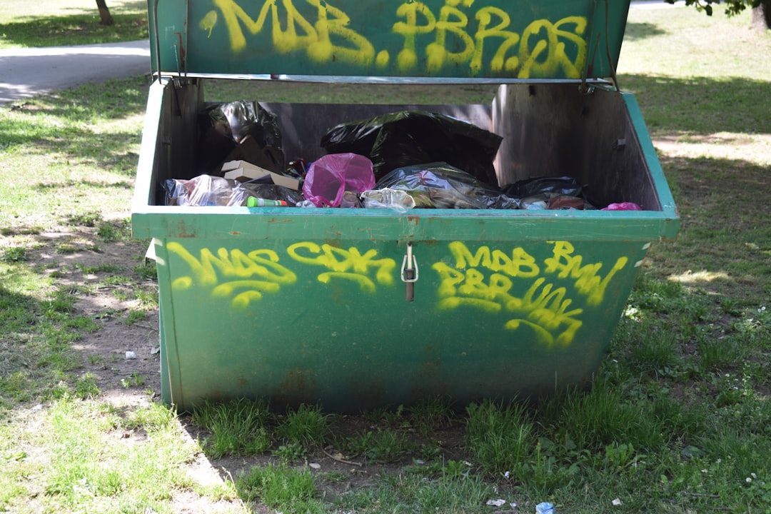 louez une benne à déchets facilement et rapidement pour tous vos besoins de débarras, rénovation ou chantier. service de location de dumpsters fiable, tarifs abordables et livraison rapide dans votre région.