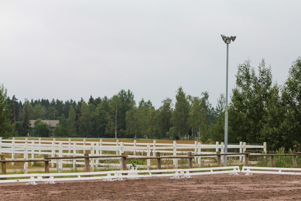 découvrez les meilleures options de pension pour chevaux : services de pension complète, soin personnalisé et installation adaptée pour le bien-être de votre cheval. réservez votre place dès aujourd'hui !